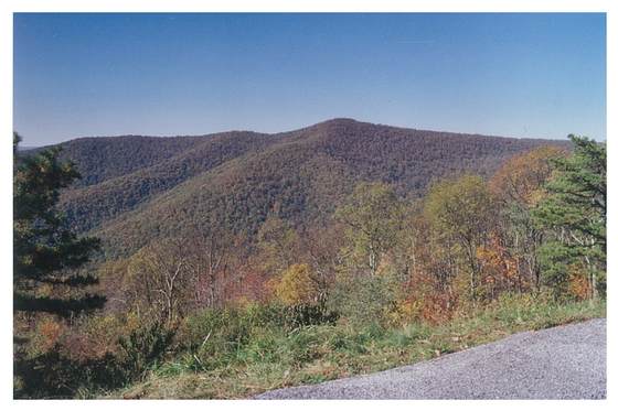 Skyline Drive 