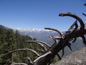 Sequoia National Park