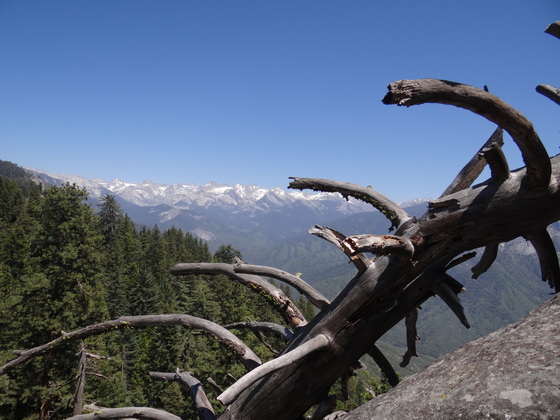 Sequoia National Park