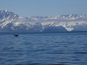 Kenai Fjords National Park