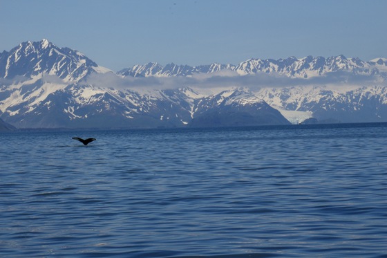 Kenai Fjords National Park