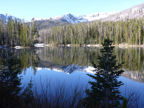 Yellowstone National Park (YNP)