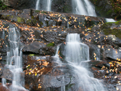 Great Smoky Mountains National Park