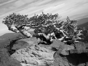 Sky Lakes Wilderness Area