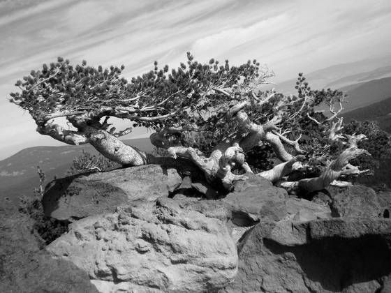 Sky Lakes Wilderness Area