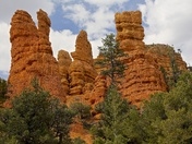 dixie national forest