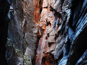 zion national park