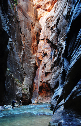 zion national park
