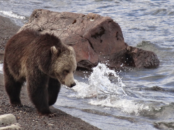 Yellowstone National Park