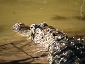 Everglades National Park