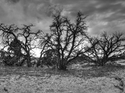 Canyonlands National Park