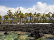 Pu'uhonua o Honaunau