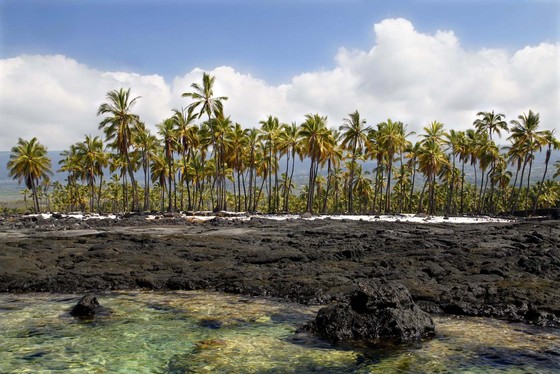 Pu'uhonua o Honaunau