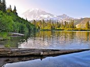 Mt. Rainier National Park
