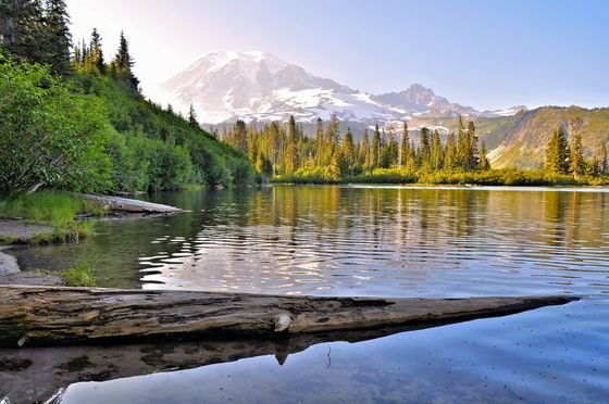 Mt. Rainier National Park