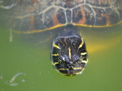 Everglades National Park