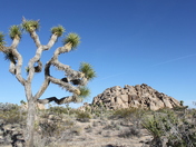 Joshua Tree National Park