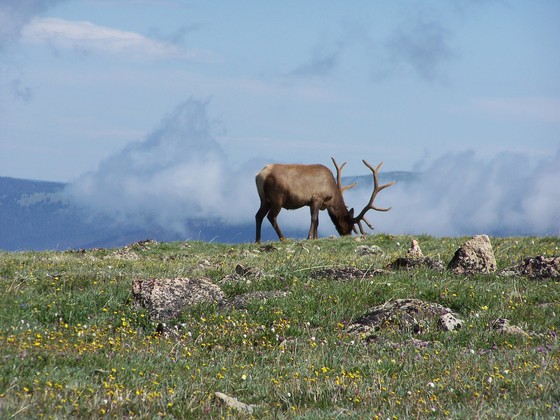 Rocky Mountain National Park