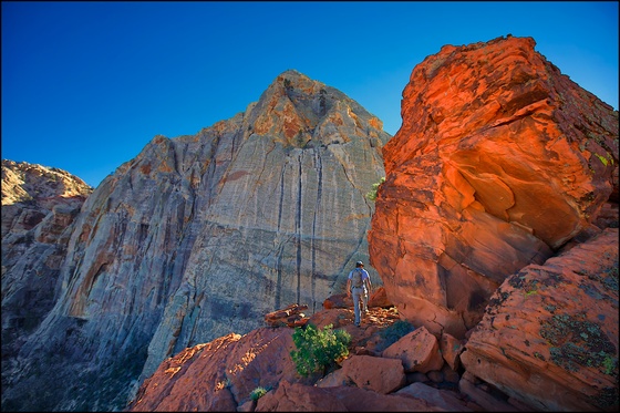 Red Rock Canyon National Conservation Area.