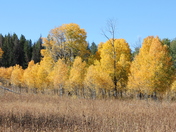 Grand Teton National Park