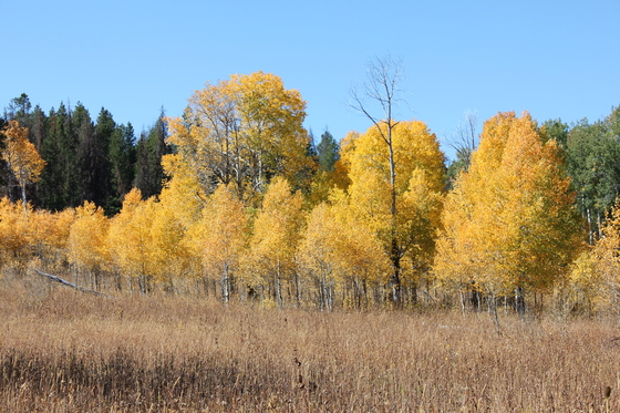 Grand Teton National Park