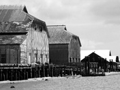 Old Cannery Buildings in Steveston