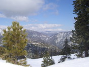 San Bernardino National Forest