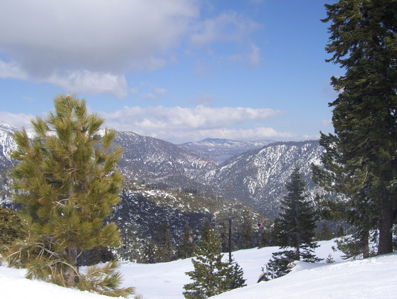 San Bernardino National Forest