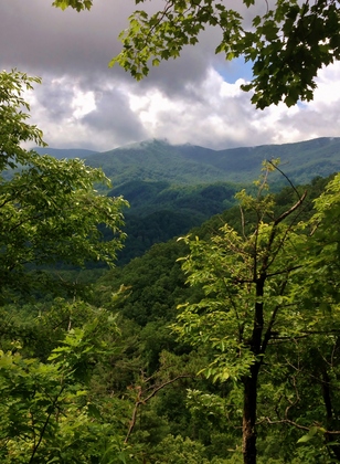 Great Smokey Mountain National Park