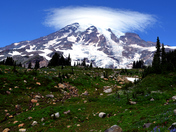 Mt Rainier