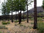 Lava Lands Visitor Center