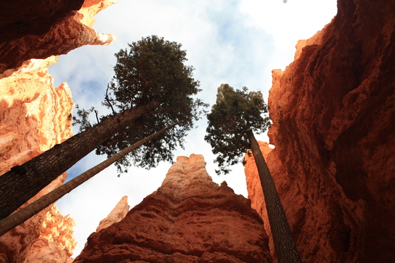 Bryce Canyon National Park