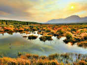 Glaicier National Park