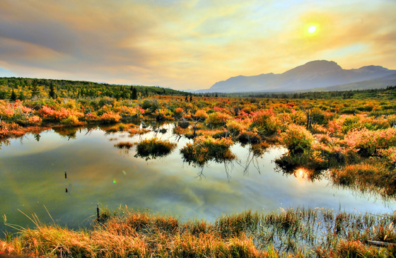 Glaicier National Park