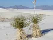 White Sands NM