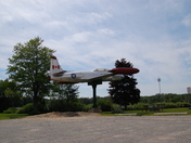 Canadian Bird of Prey