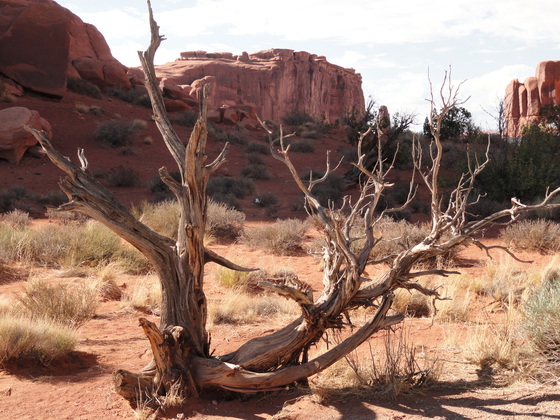 Arches National Park