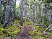 Kenai Fjords National Park