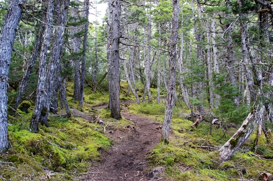Kenai Fjords National Park