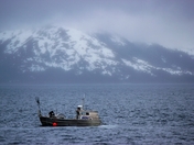 Kenai Fjords National Park