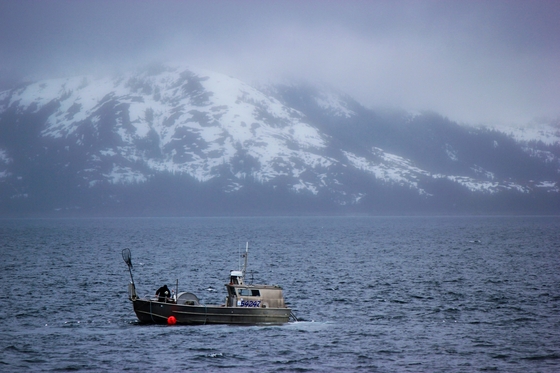 Kenai Fjords National Park