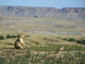 Badlands National Park