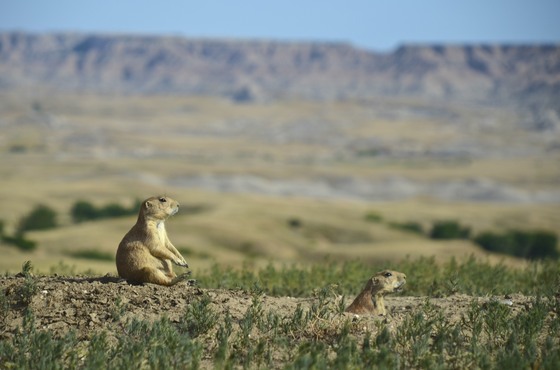 Badlands National Park