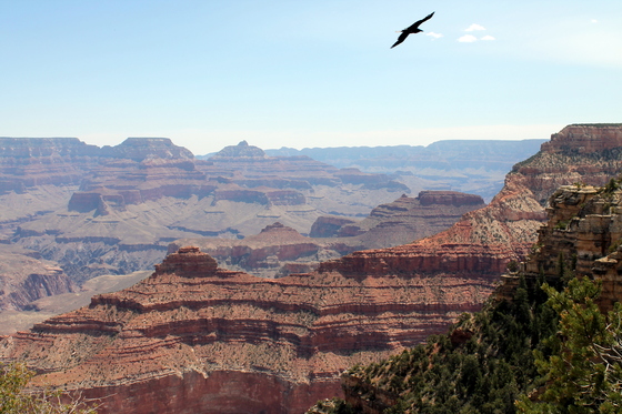Grand Canyon National Park