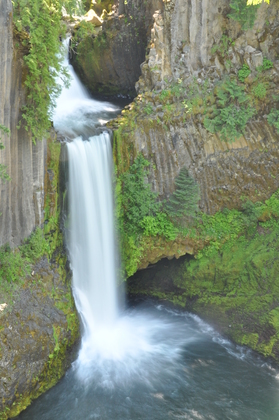 Umpqua National Forest