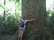 The Great Smoky Moutains National Park