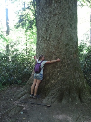 The Great Smoky Moutains National Park