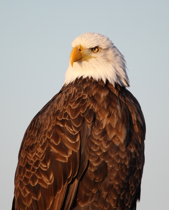 Lower Klamath National Wildlife Refuge