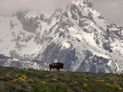 Grand Teton National Park