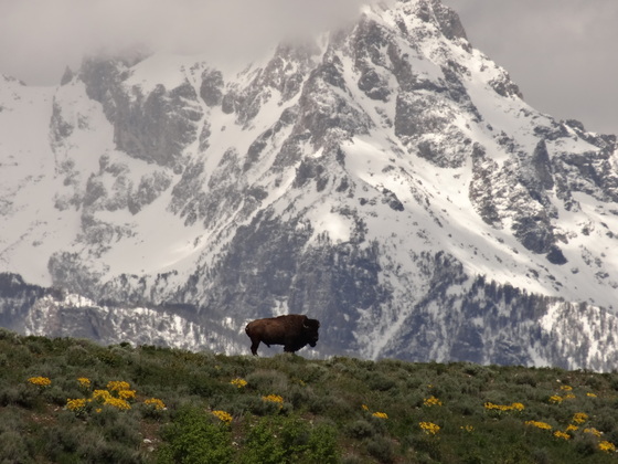 Grand Teton National Park